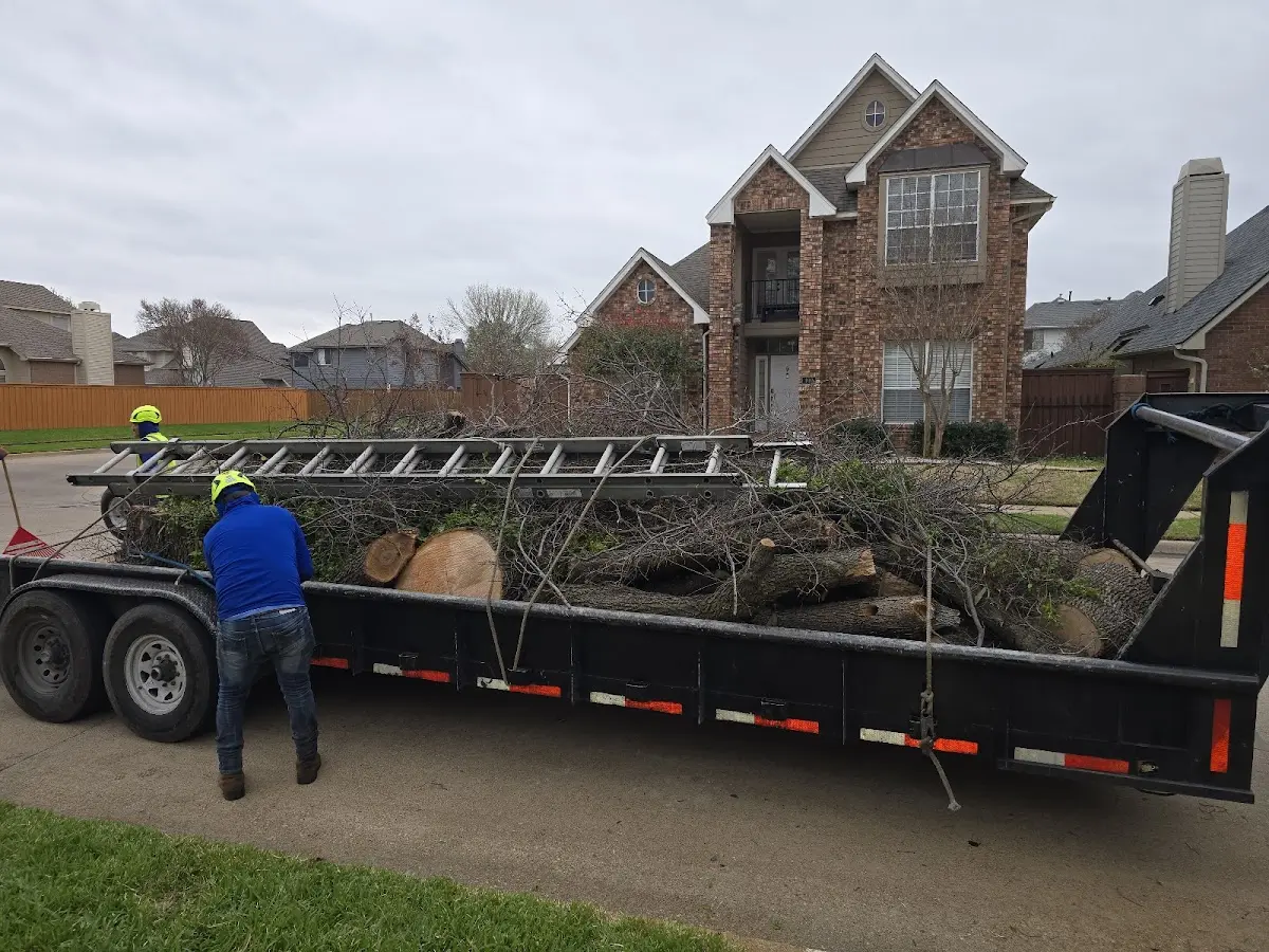 Expert Tree Removal with proper safety equipment in Zionville